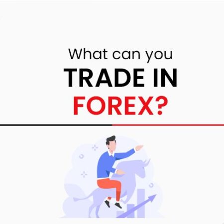 Exploring the Vast World of Forex Trading
